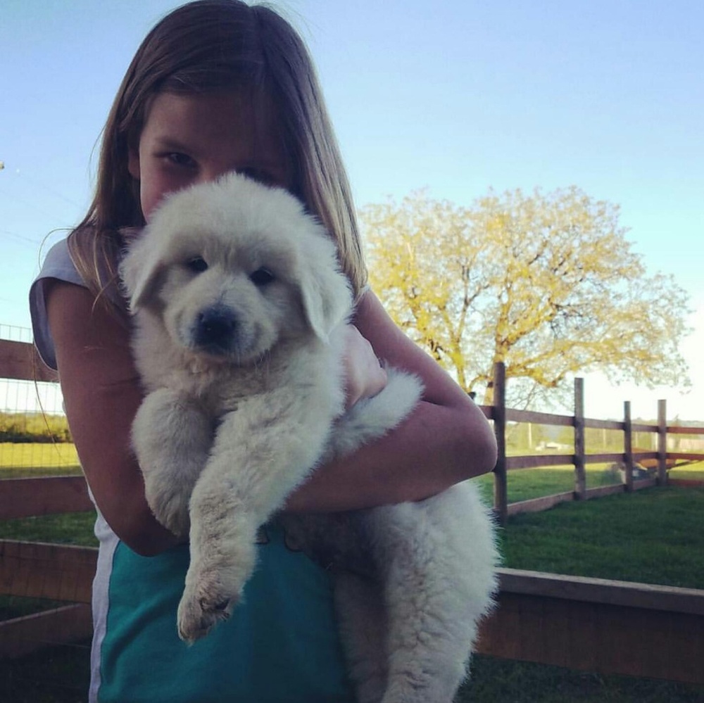 Meet your Posher, Jillian